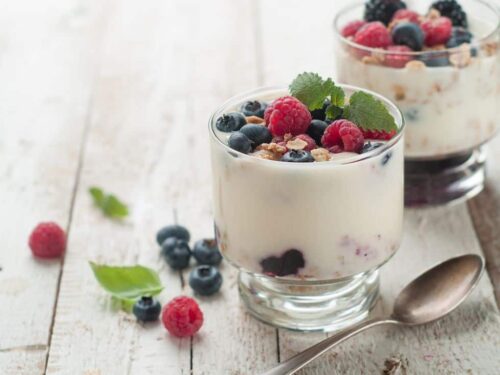 Homemade Greek Yogurt | Creamy, High in Protein and Preservative Free!