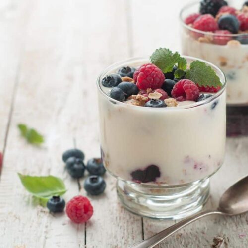 Homemade Greek Yogurt | Creamy, High in Protein and Preservative Free!