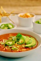 Chicken Tortilla Soup | Instant Pot Blender Recipe - TwoSleevers