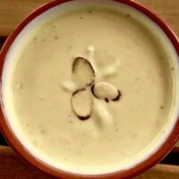 Indian dessert Shrikhand overhead view