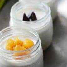 vietnamese yogurt