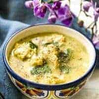 Instant Pot Poblano Chicken Soup | Low Carb