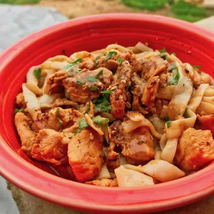 Instant Pot Dan Dan Style chicken combines the classic flavors of Dan Dan Mein into a low carb dish that's equally satisfying.