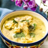 Poblano Chicken Soup