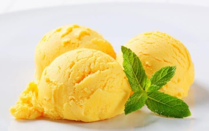 mango frozen yogurt