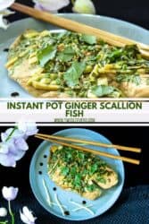 instant pot steamed fish