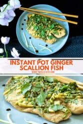instant pot steamed fish