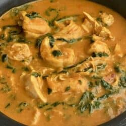 Instant Pot Indian Chicken Curry recipe that comes together in 15 minutes. Chicken, yogurt, and spinach make a healthy, authentic homestyle Indian curry.