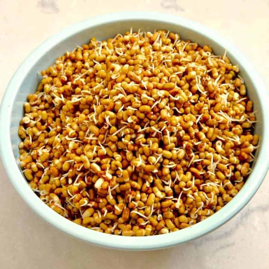 Instant Pot Sprouted Beans
