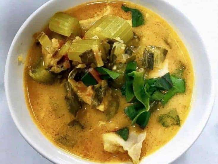 Low Carb Spicy Chicken Soup | Chicken Soup WIth A Kick | TwoSleevers