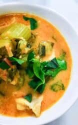 Pressure Cooker Low Carb Spicy Creamy Chicken Soup mixes together pantry ingredients for a last-minute homemade creamy chicken soup that’s simply bursting with flavor. Spicy, creamy, low carb, keto, gluten-free, and dairy-free.
