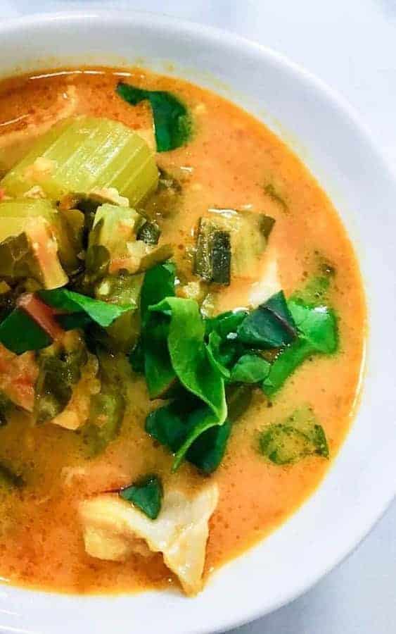 Pressure Cooker Low Carb Spicy Creamy Chicken Soup Two Sleevers