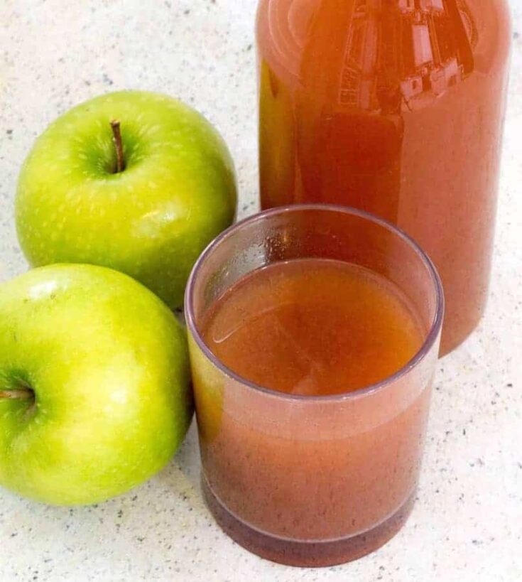 Instant Pot Mulled Apple Cider