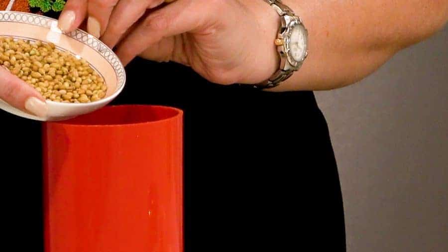 Pouring coriander seeds into coffee grinder