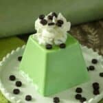 Coconut Pandan or Panna Cotta served on a white plate with keto chocolate chips