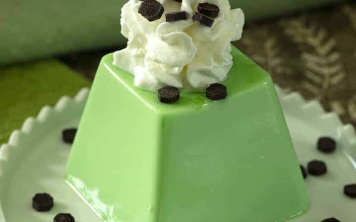 Coconut Pandan or Panna Cotta served on a white plate with keto chocolate chips