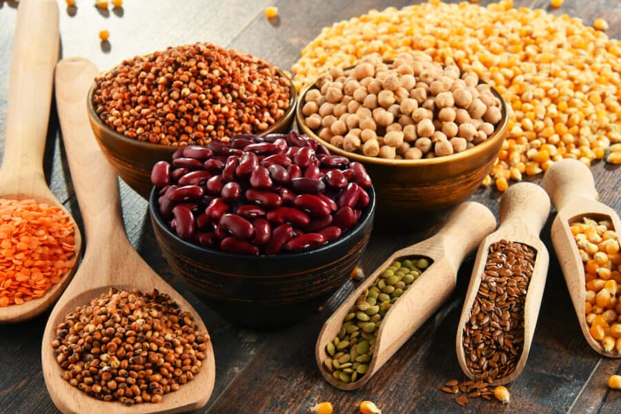 Beans and Lentils in bowls and spoons