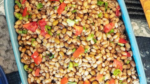 Barley and Lentil Pilaf Featured Image