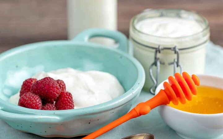 homemade yogurt in blue bowl with honey and berries