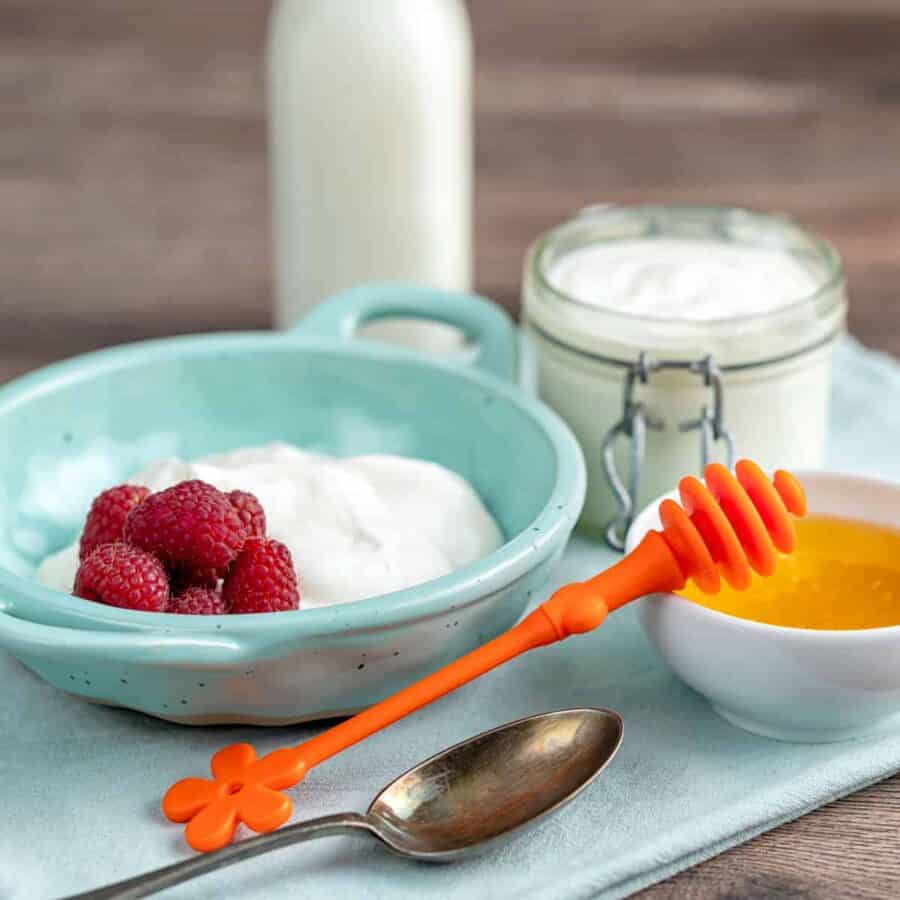 homemade yogurt in blue bowl with honey and berries