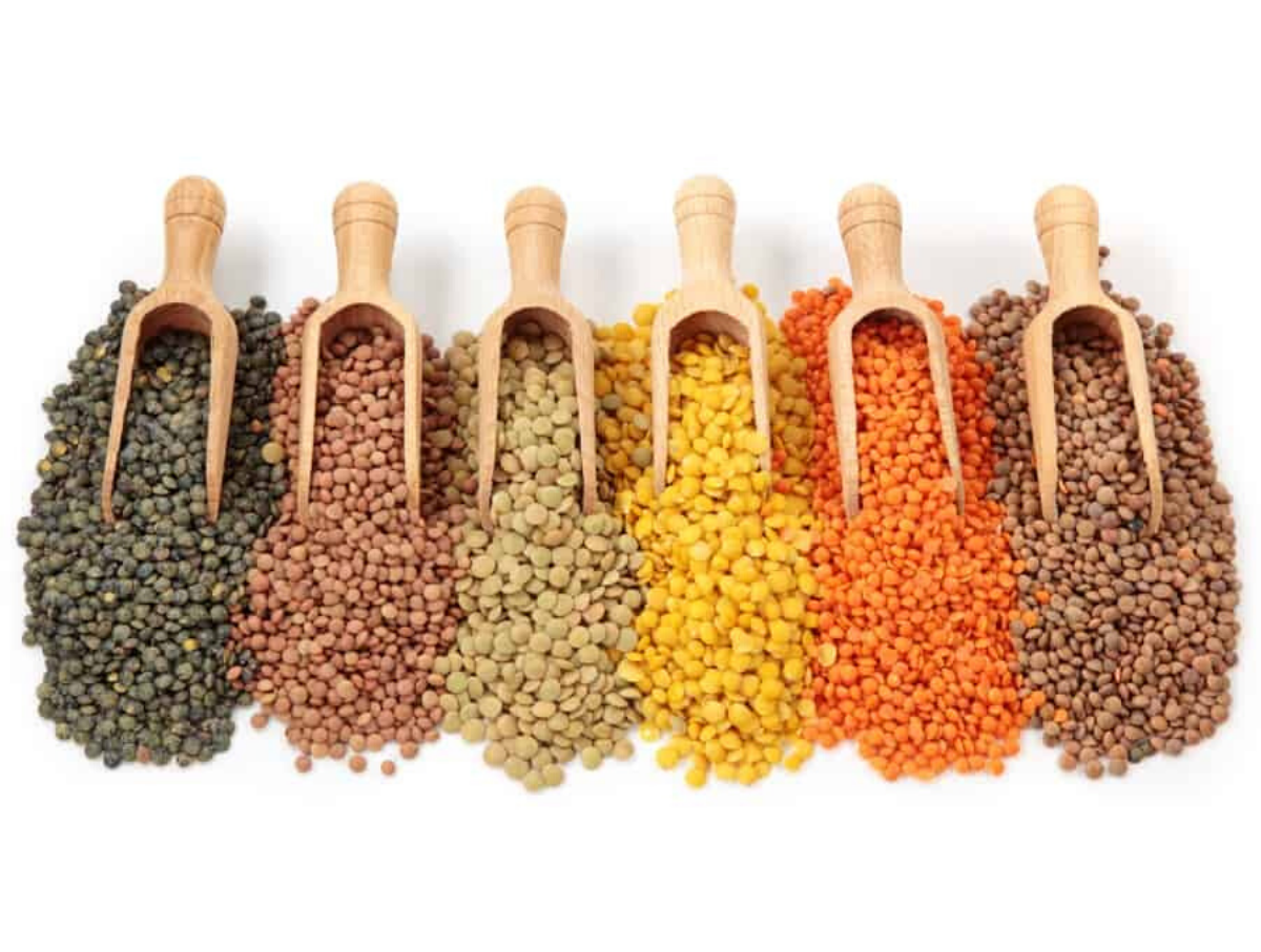 A rainbow of lentils spilling out of wooden spoons.