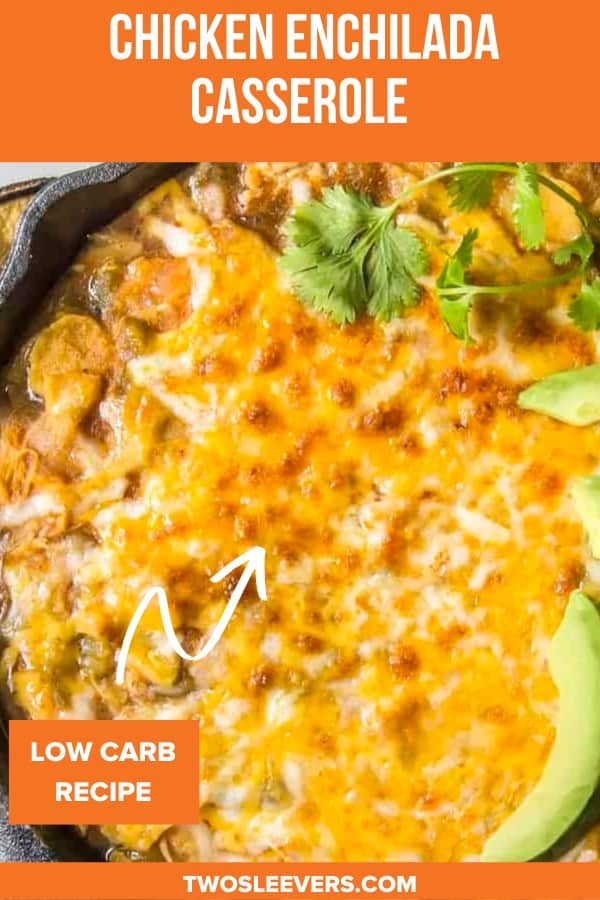 Instant Pot Enchiladas Chicken Enchilada Casserole