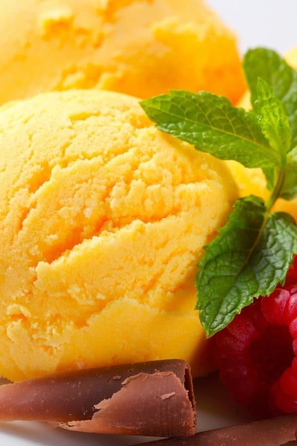 mango frozen yogurt