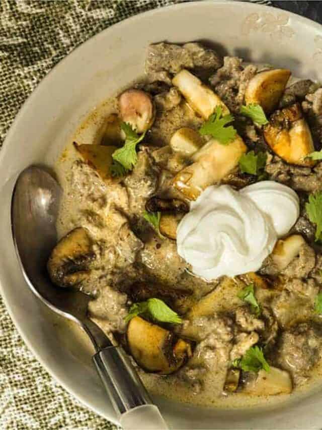 Low Carb Beef Stroganoff Twosleevers