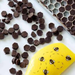 cropped-Keto-sugar-free-chocolate-chips-overhead-900x680-1.jpg