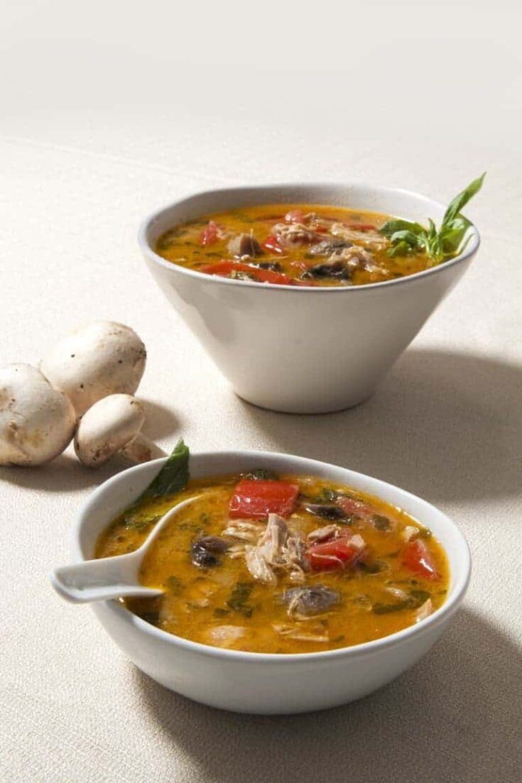 The Best Chicken Soup Recipes | Cozy And Flavor - 52