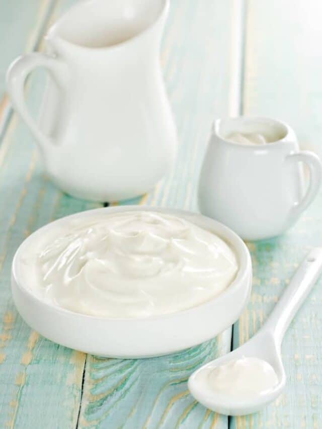 Complete Guide to Instant Pot Yogurt TwoSleevers