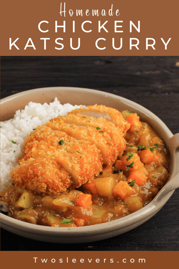 Katsu Curry Pin with text overlay