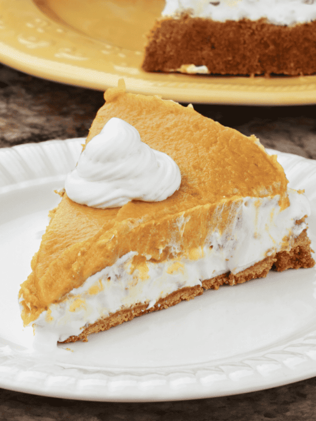 NO BAKE PUMPKIN PIE SIMPLE PUMPKIN PIE RECIPE TwoSleevers