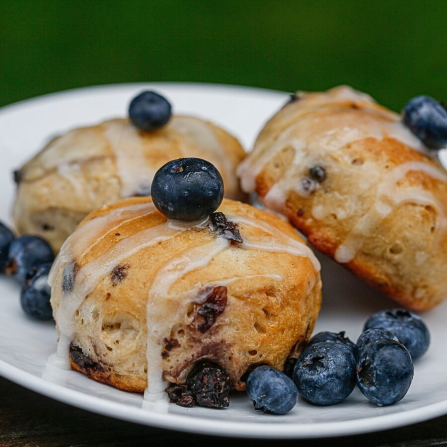 Blueberry Biscuits on a plate ith extra fresh bluberries - 2