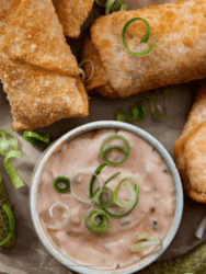 cropped-Cheeseburger-Egg-Rolls-1.png