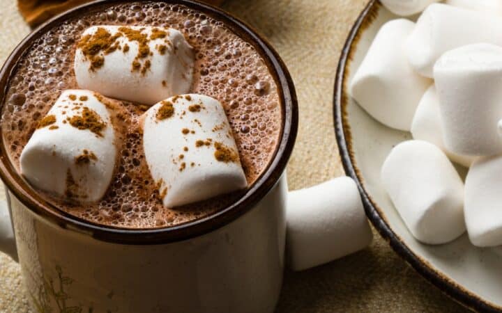 Hot chocolate made from homemade hot chocolate mix in a mug with marshmallows