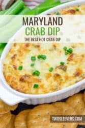 Maryland Crab Dip Recipe | Scorching Crab Dip – TwoSleevers