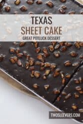 Texas Sheet Cake Recipe | The Greatest Chocolate Sheet Cake – TwoSleevers