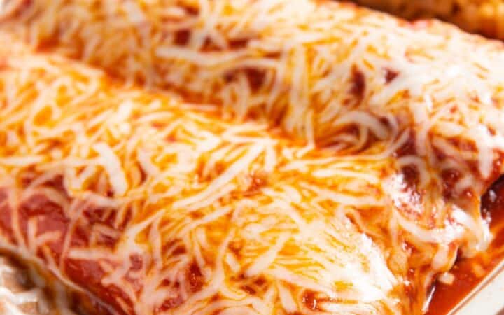 Close up image of Black Bean Enchiladas on a plate with rice and beans