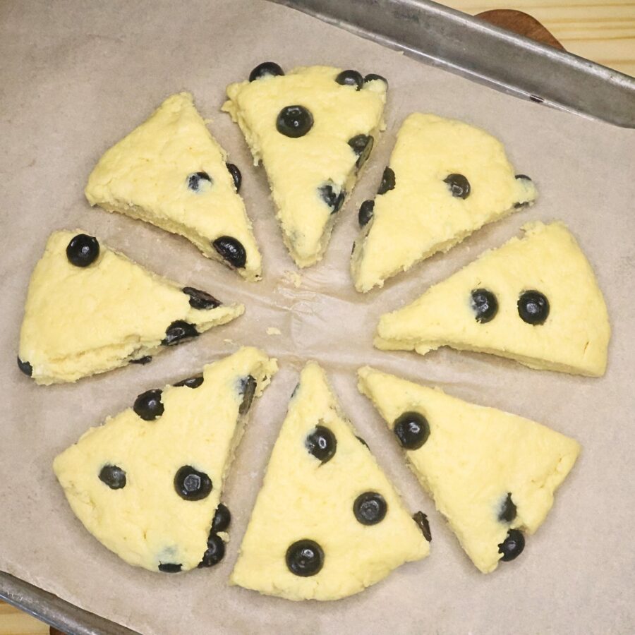 Unbaked blueberry scones on a parchment lined baking sheet