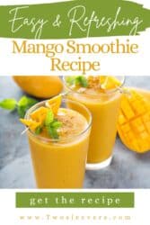 Mango Smoothie Recipe | Refreshing Mango Smoothie Recipe – TwoSleevers