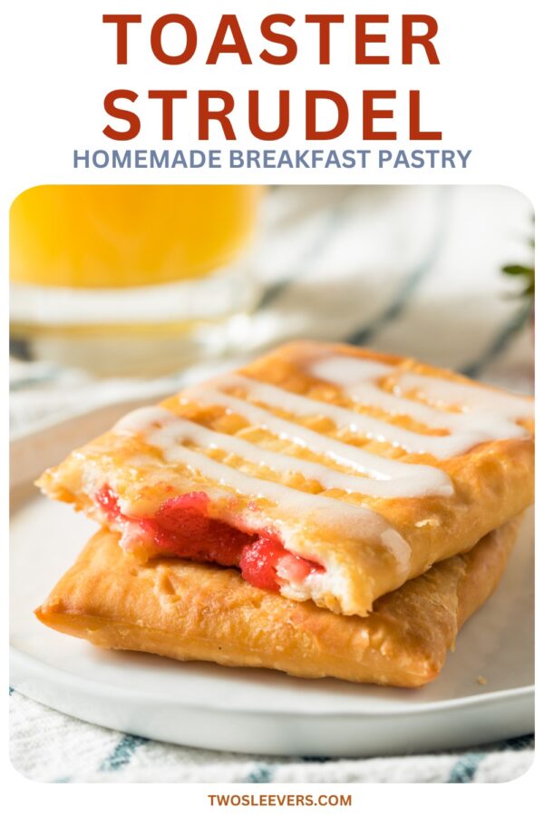 Toaster Strudel Pin with text overlay