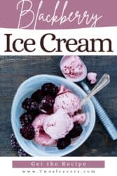 Blackberry Ice Cream Recipe | Selfmade Blackbery Ice Cream – TwoSleevers