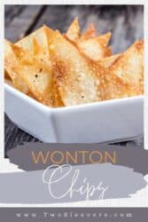 Wonton Chips | Straightforward Home made Wonton Chip Recipe – TwoSleevers