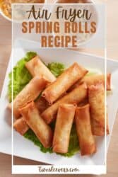 Spring Rolls Recipe | Crispy Air Fryer Spring Rolls – TwoSleevers