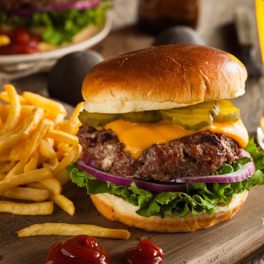 Bison Burger on a cutting board with fries