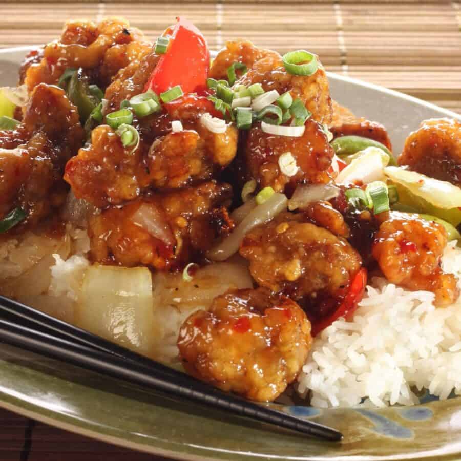 Close up image of Kung Pao Chicken with rice on a plate