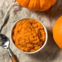 Connecticut field pumpkin Overhead image of Pumpkin Puree in a white bowl next to pumpkins