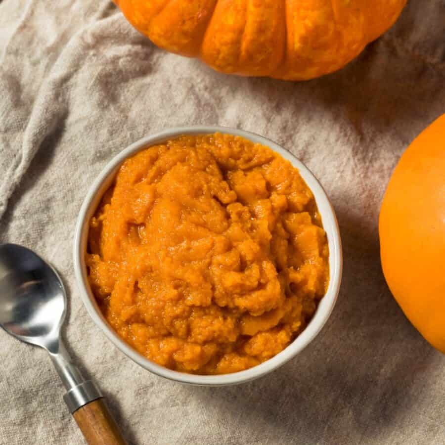 Overhead image of Pumpkin Puree in a white bowl next to pumpkins