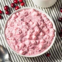 Chukauni Overhead image of Cranberry Fluff in a white bowl with cranberries scattered around it